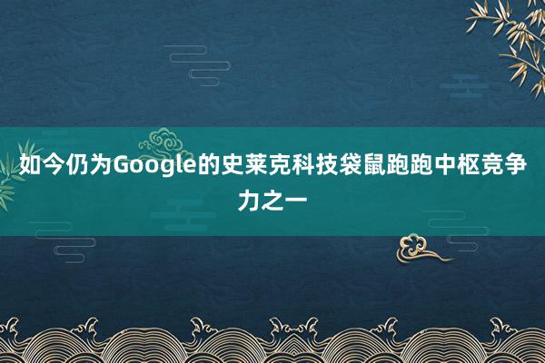 如今仍为Google的史莱克科技袋鼠跑跑中枢竞争力之一